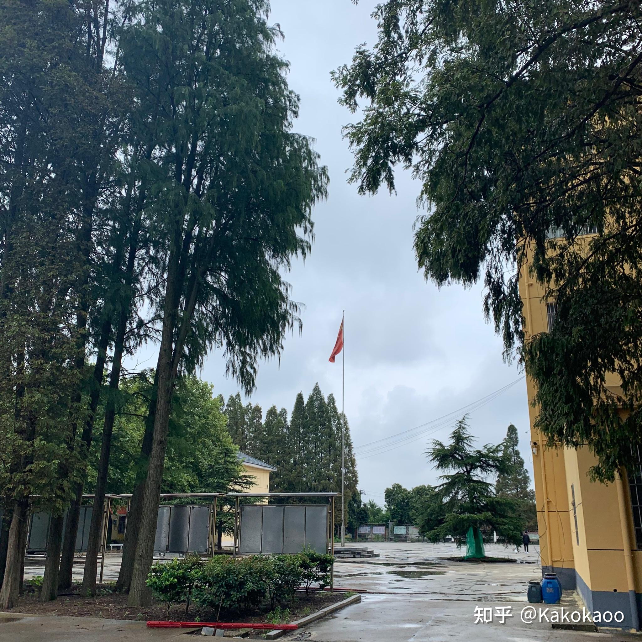 在岳阳市君山中学就读是一种怎样的体验? - 知乎