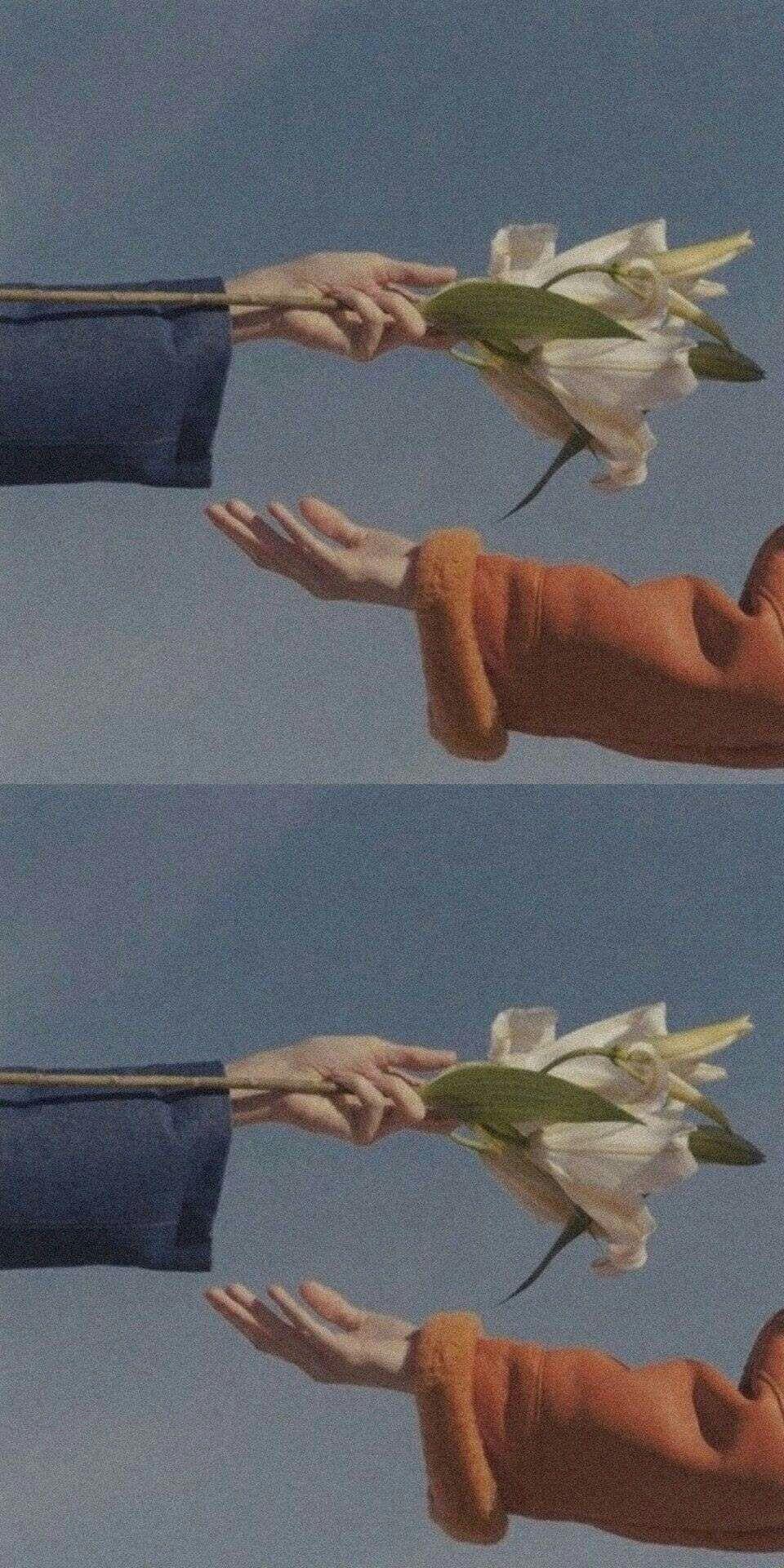 能表达情感的背景图有哪些? - 知乎