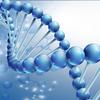 生物化学中的四种生物大分子是哪四种? - 知乎