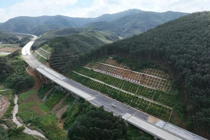勐关高速项目芒果树隧道右洞顺利贯通 - 知乎