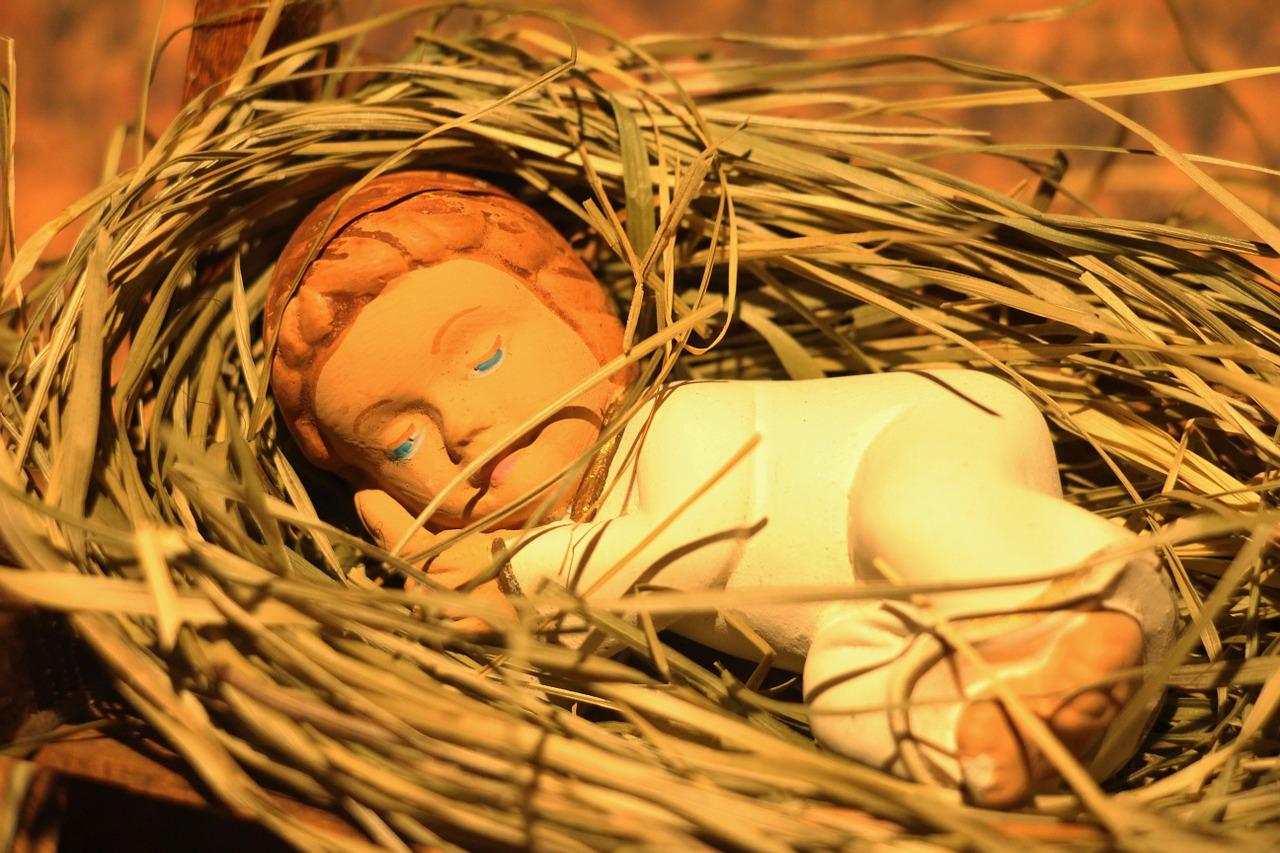 宜居生态小户型