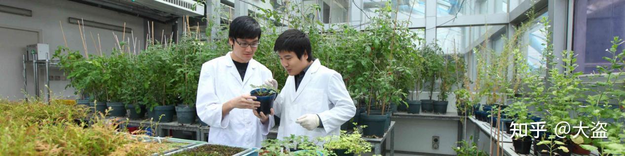 史上最全 · 香港大学授课型硕士及以上专业详解2025 - 知乎