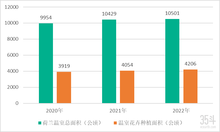 荷兰花卉产业发展现状图片