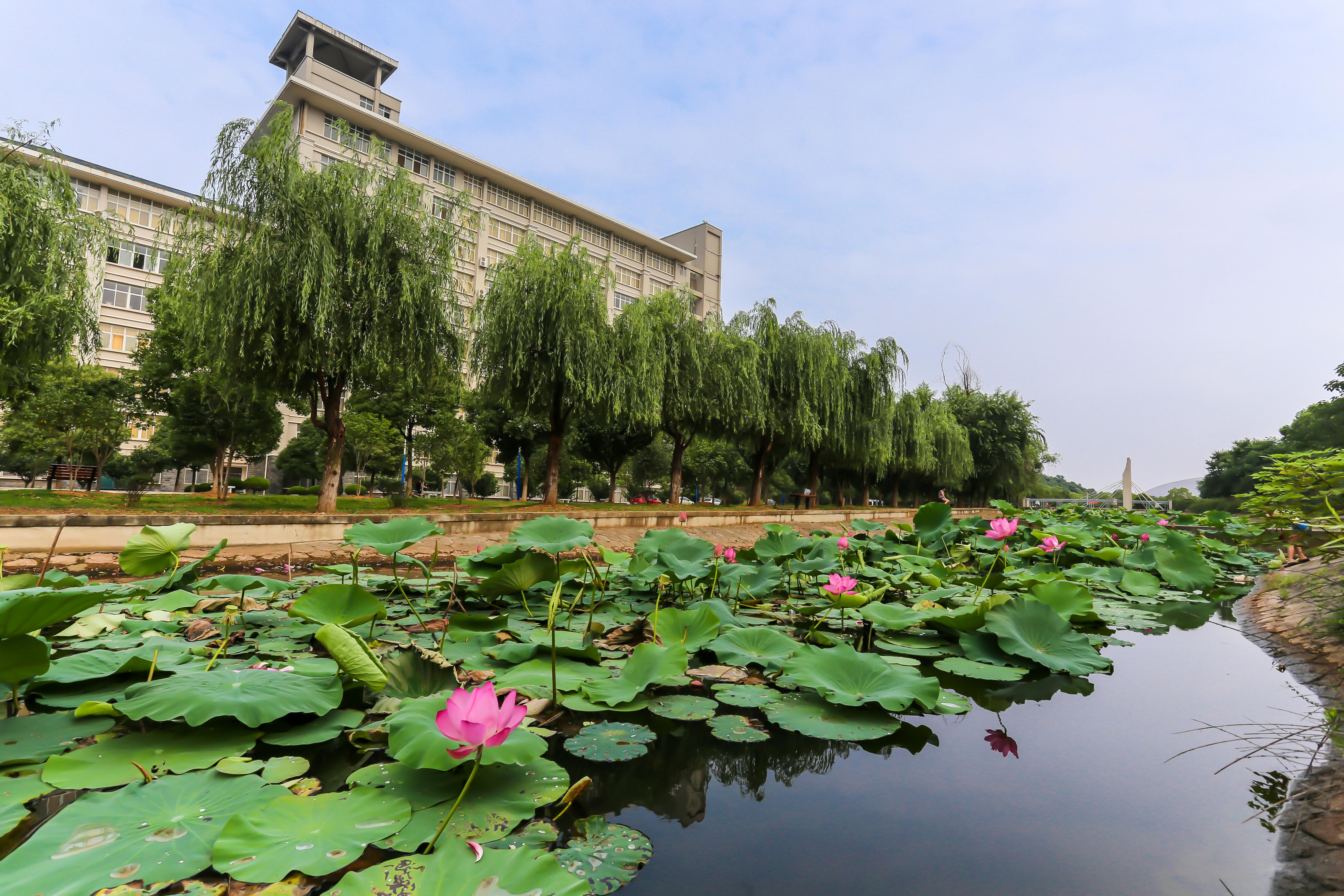 在武汉东湖学院(武汉大学东湖分校)就读是一种怎样的体验? 