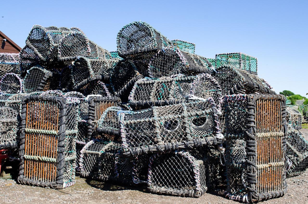 洁桶洗什么意思