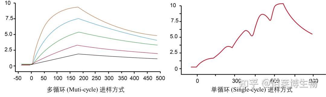 表面等离子共振(SPR)实验技术 - 知乎