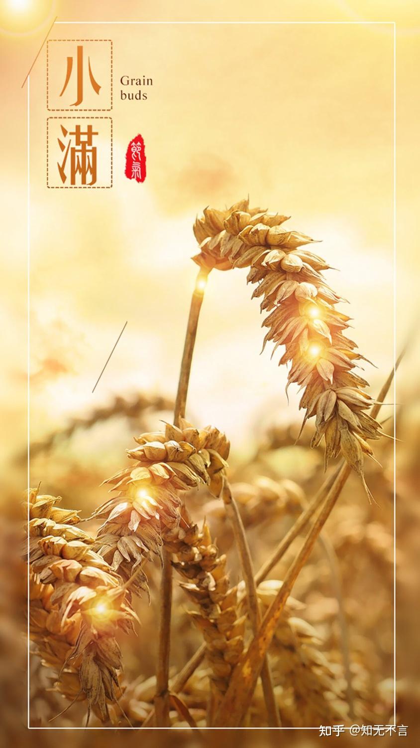 今日小满,小满足矣,好诗词怎么表达出来此境地的?