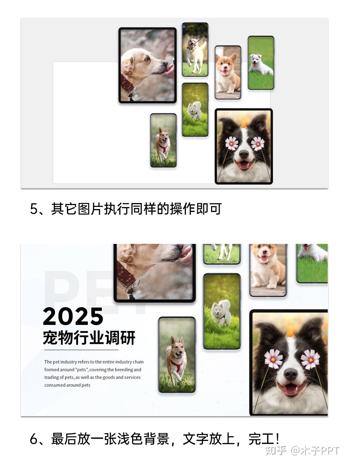 PPT多图不知道怎么排?试试样机! - 知乎