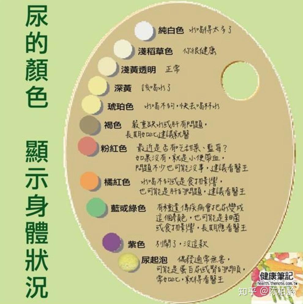好好喝水以后,你身上出现了哪些惊人的变化? - 知乎