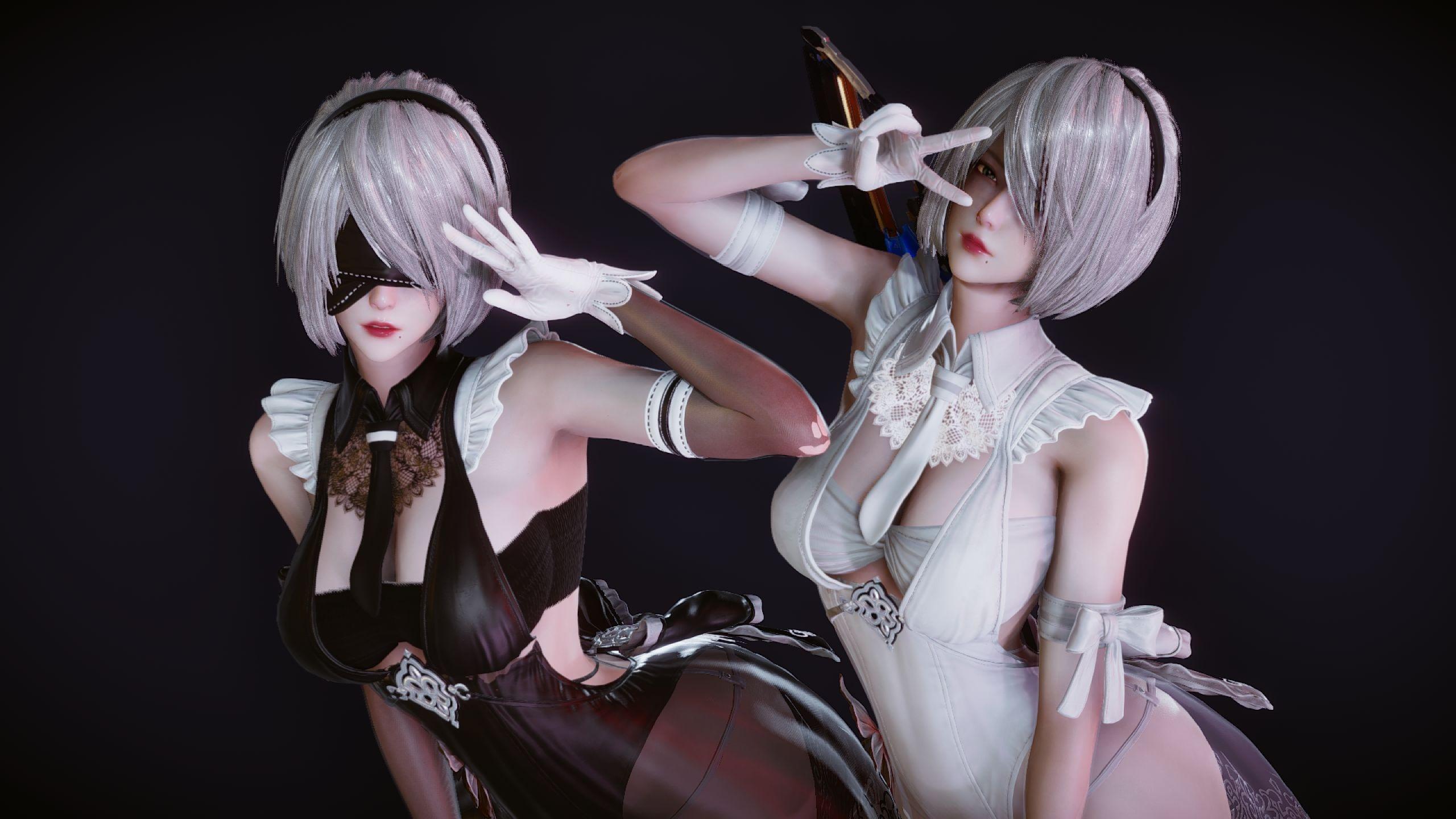 尼尔机械纪元-新2B