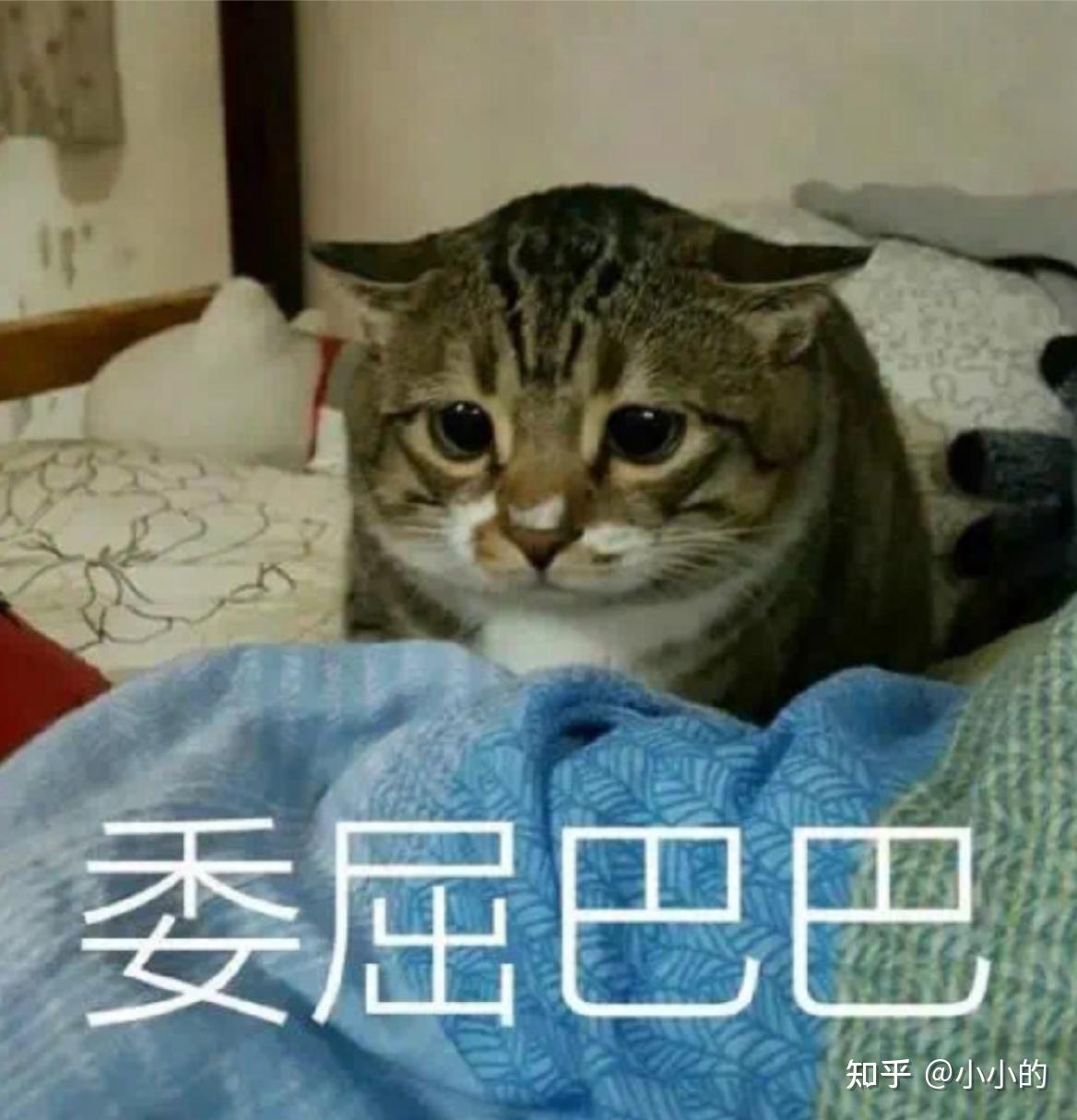 哪句话让你突然沉默了很久? - 知乎
