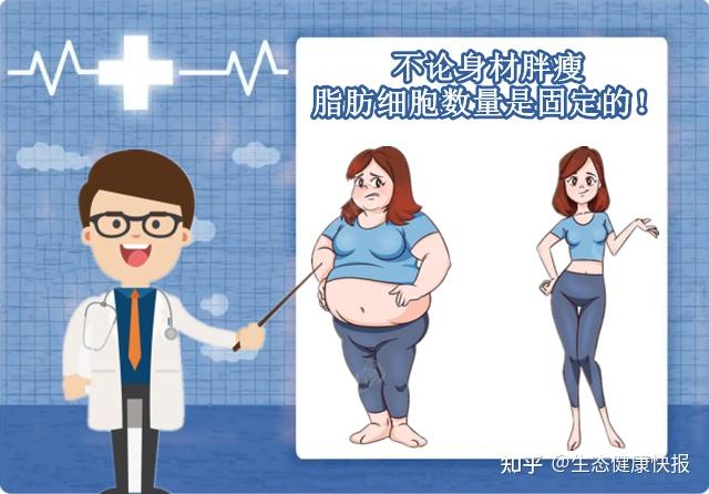 广东无糖空间科普:不论胖瘦,身体的脂肪细胞数量是固定的? - 知乎