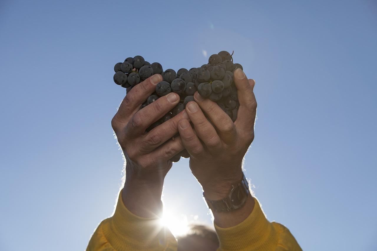 金榜题名梦飞扬