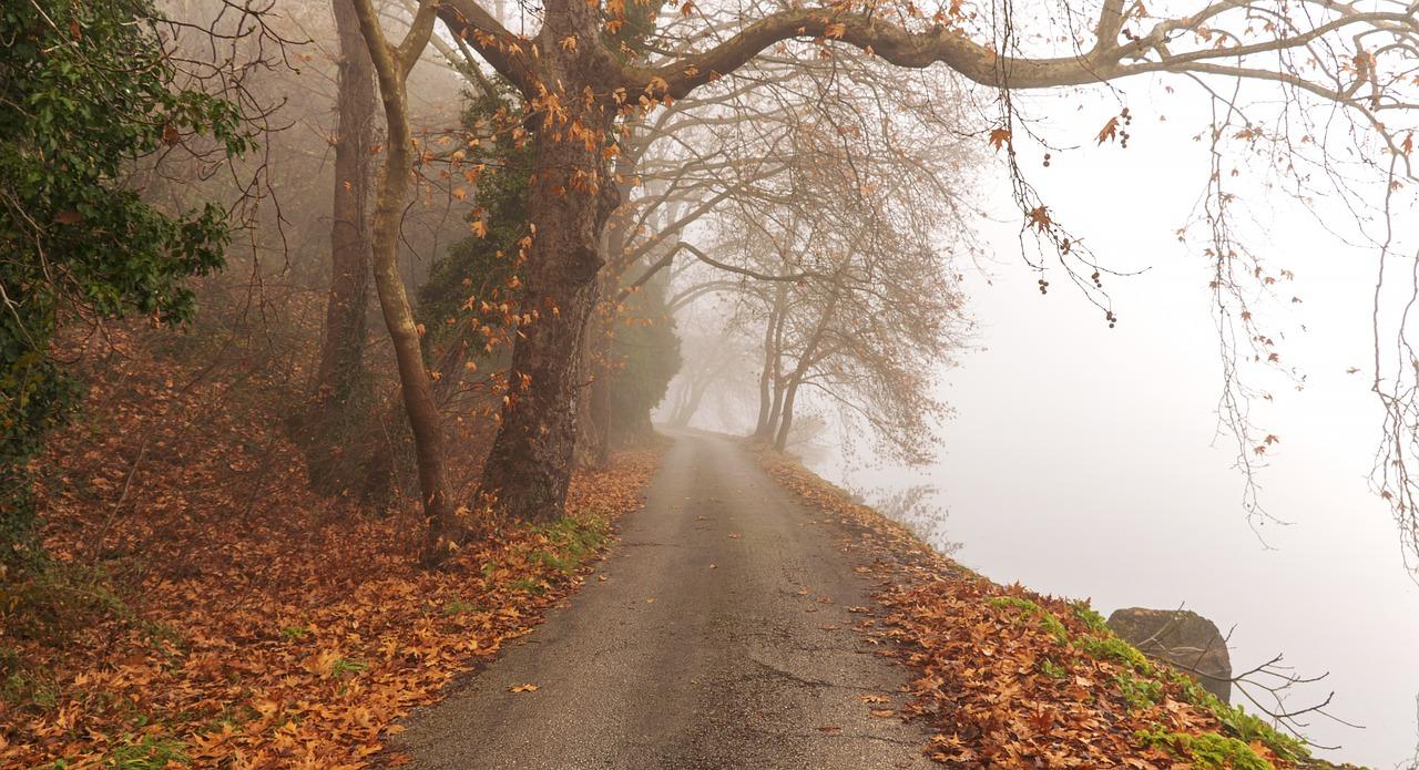 4. 冬季暖色绽放