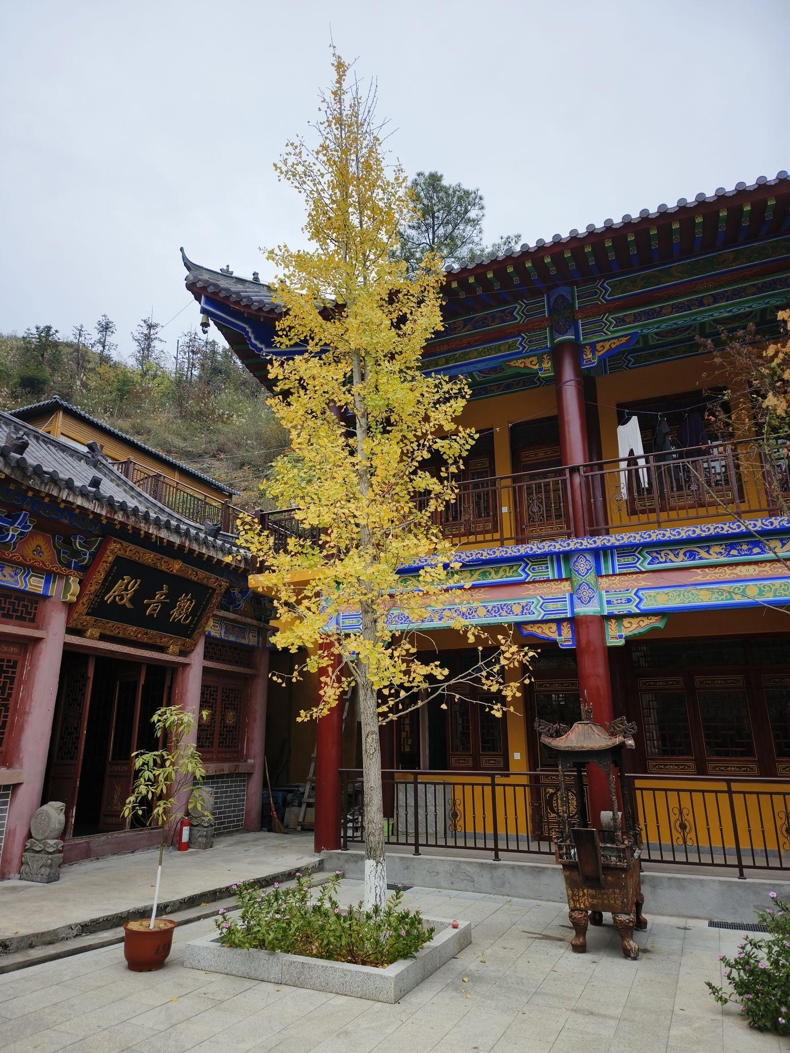 我生病在家好久了可以拍照给我看看外面的风景嘛