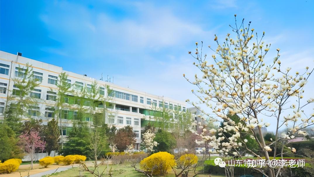 山东理工大学2023年研究生录取名单? - 知乎