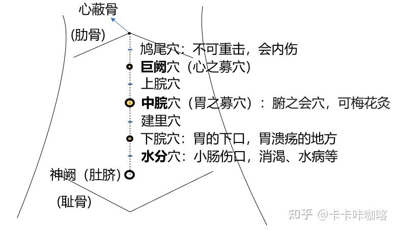 【中医学习】针灸大成4 - 初入任督脉、任脉经穴 - 知乎
