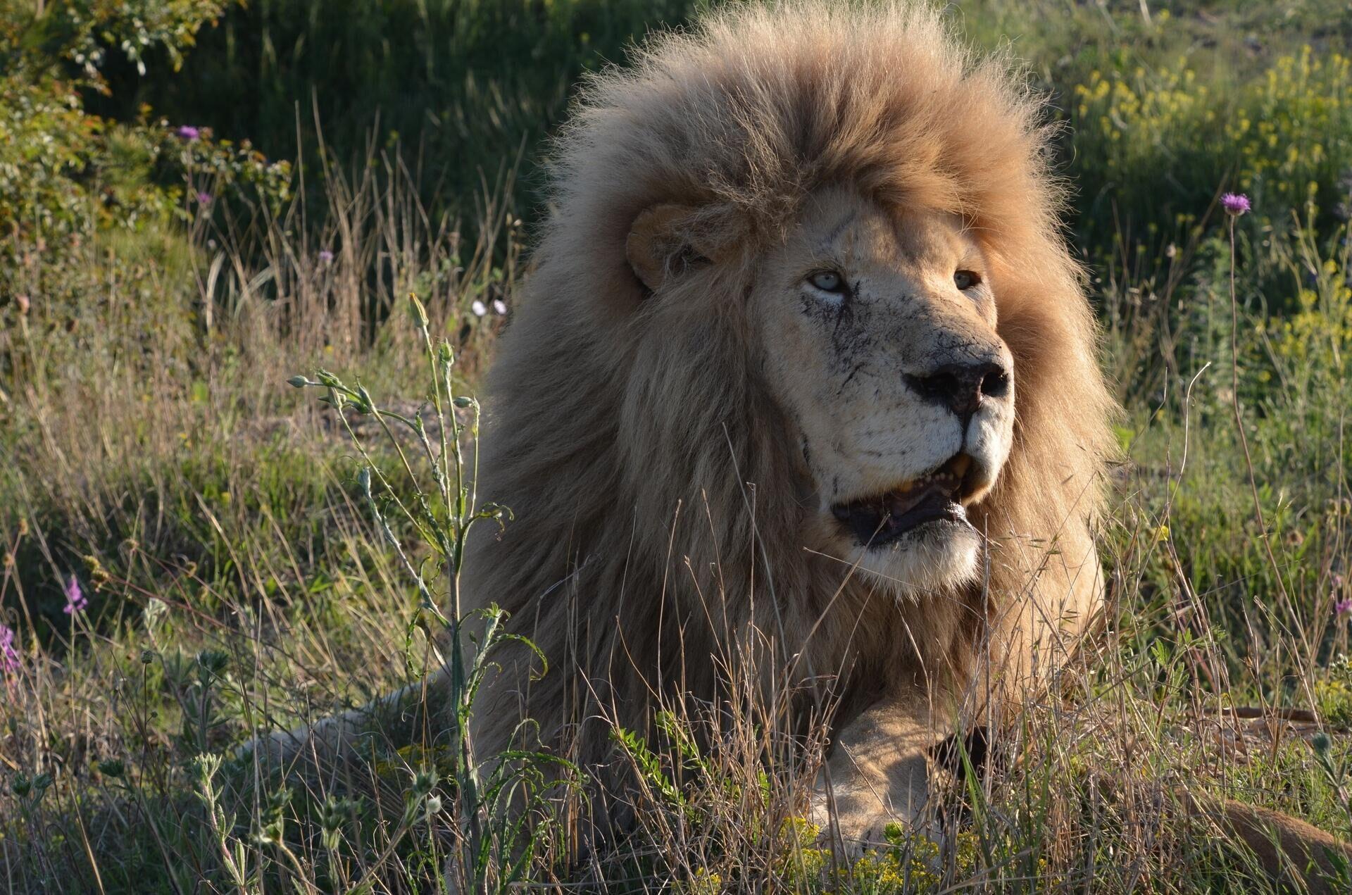 在克里米亚野生动物园里你最喜欢谁? - 知乎