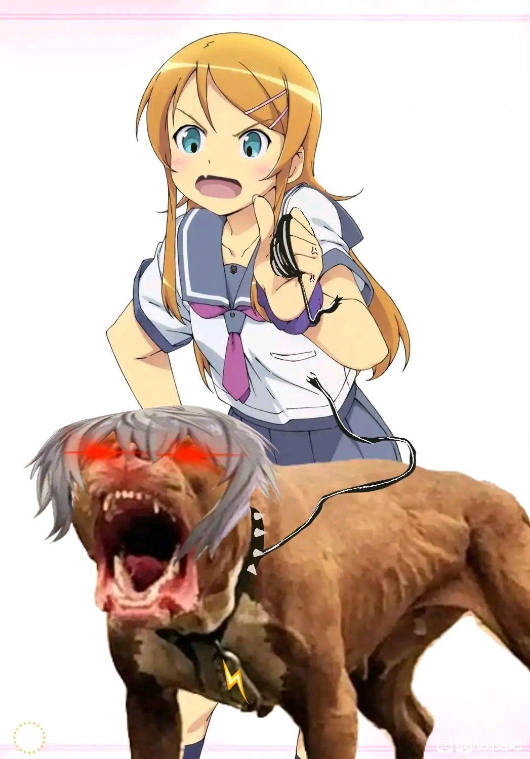 哔哩哔哩ceo陈睿在 bilibili 13 周年称"b 站或许会消失,但好内容永存