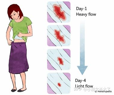 【生酮与经期】女生的「姨妈」和生酮到底有什么关系? - 知乎