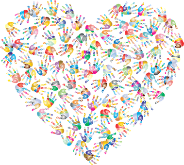 雪尼尔护理方法