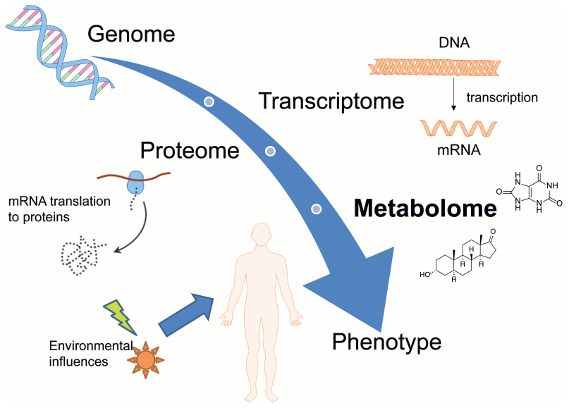 代谢组学之新手入门级知识概览 - 知乎