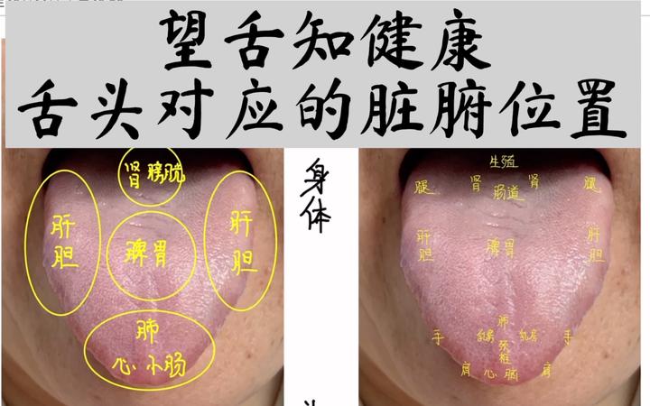 中医舌诊详解 - 知乎