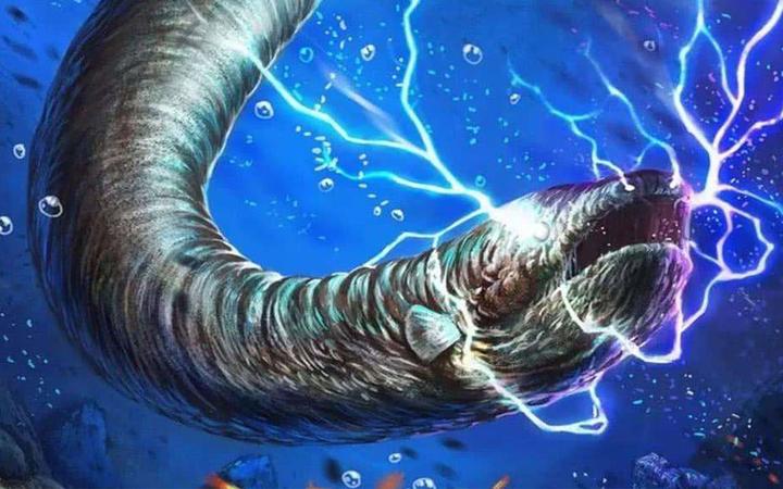 为什么电鳗能放电?