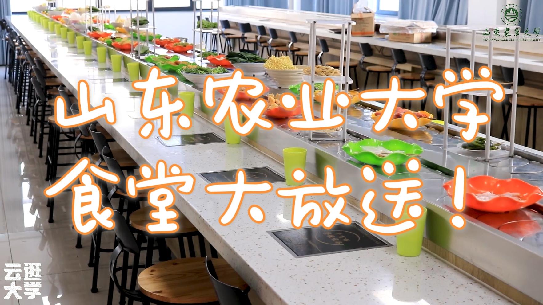 一句话描述山东农业大学的食堂有多好吃? - 知乎