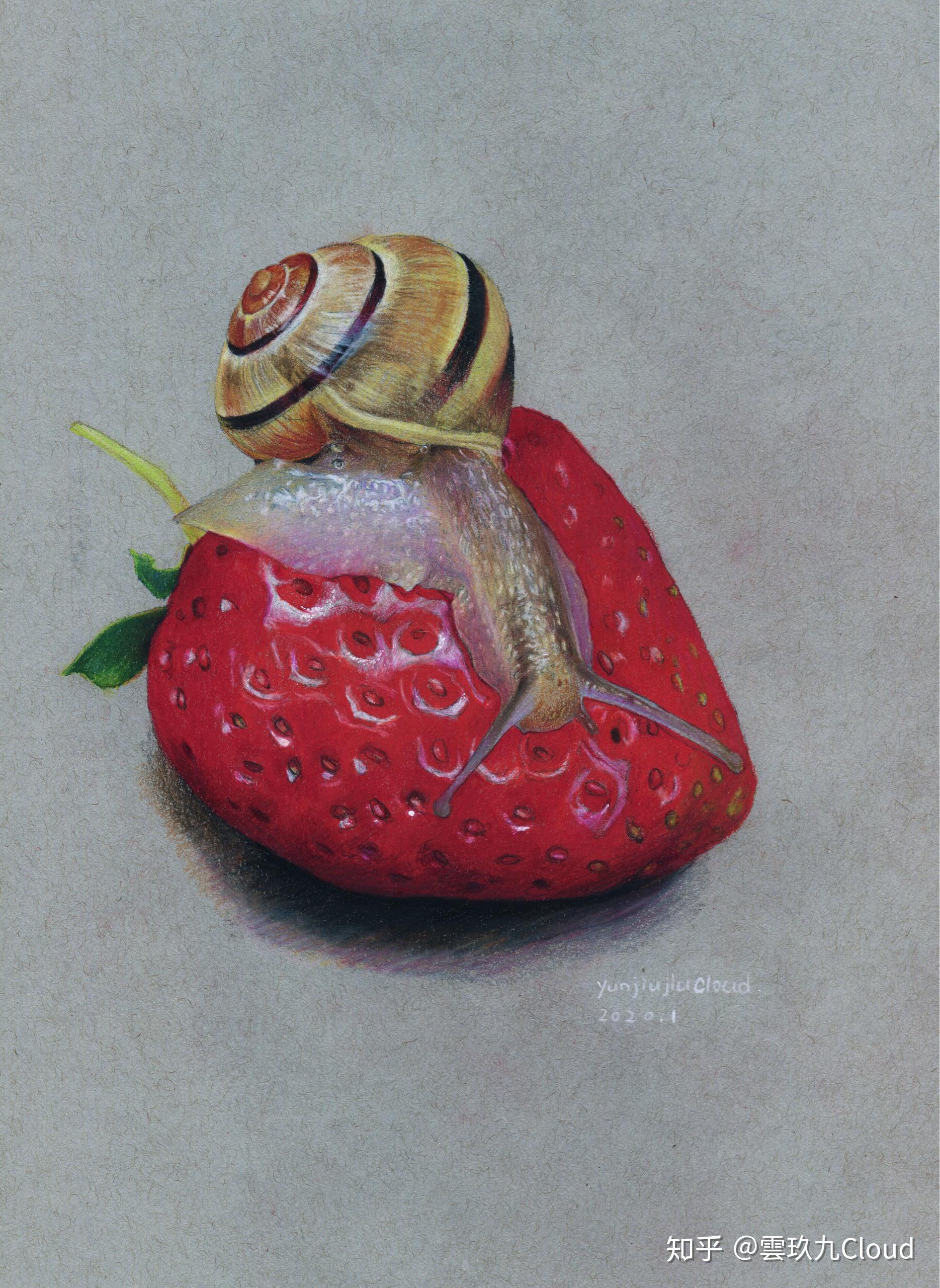 如何画出像这样高质量的彩铅作品