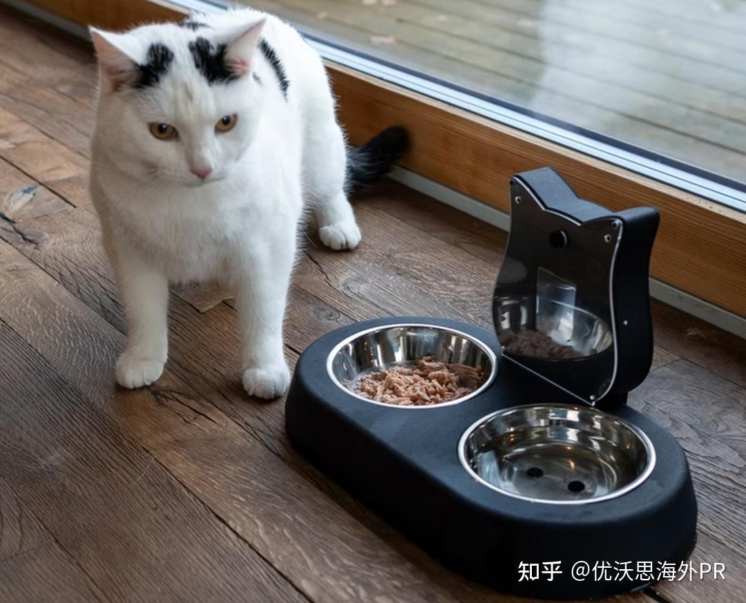 CES上AI概念集体爆发,但还有一些你不知道的小众爆品