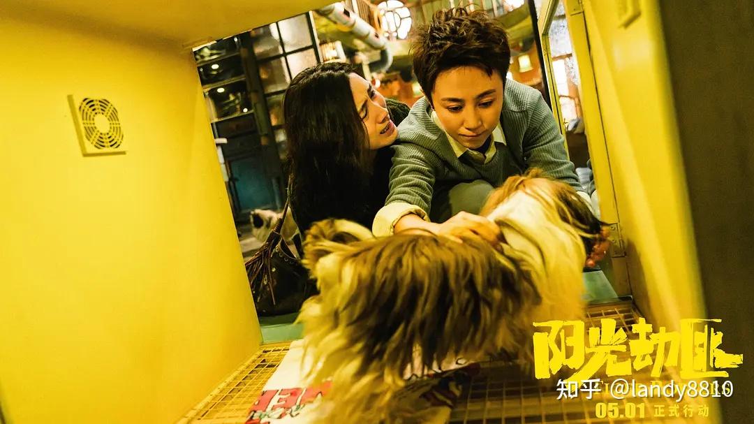 马丽,宋佳,老虎文文领衔主演,张海宇,谢锐韬主演的《阳光劫匪》剧照
