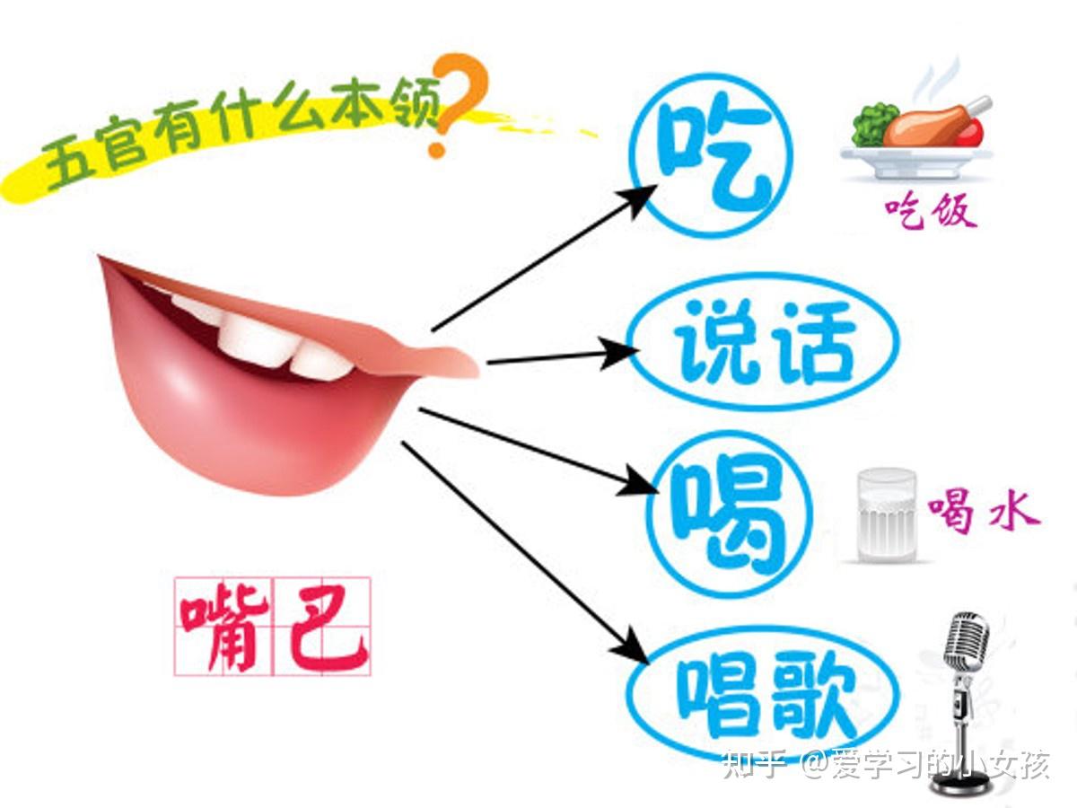幼儿园小班健康《我的五官》视频+教案+课件+打印图 - 知乎