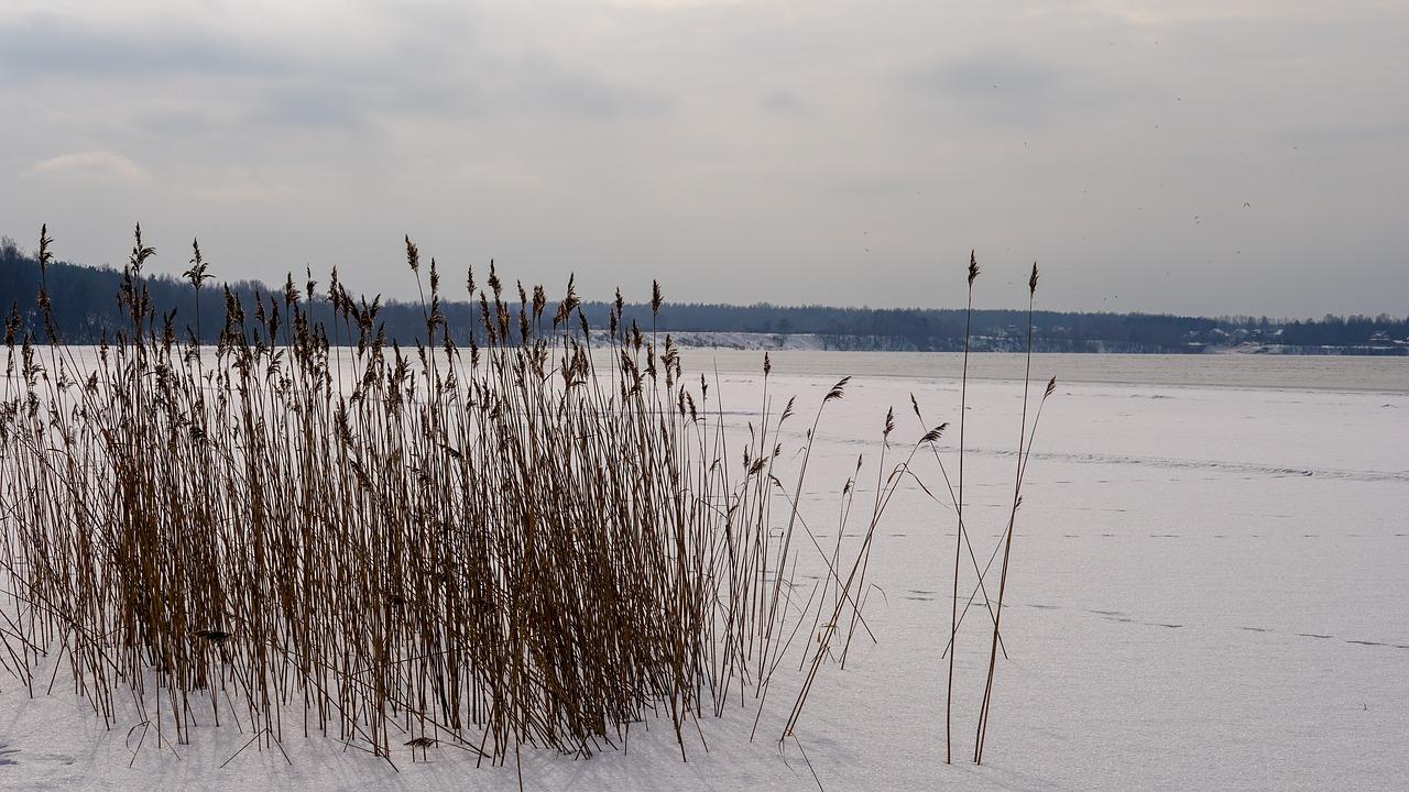 冬季取暖设备推荐