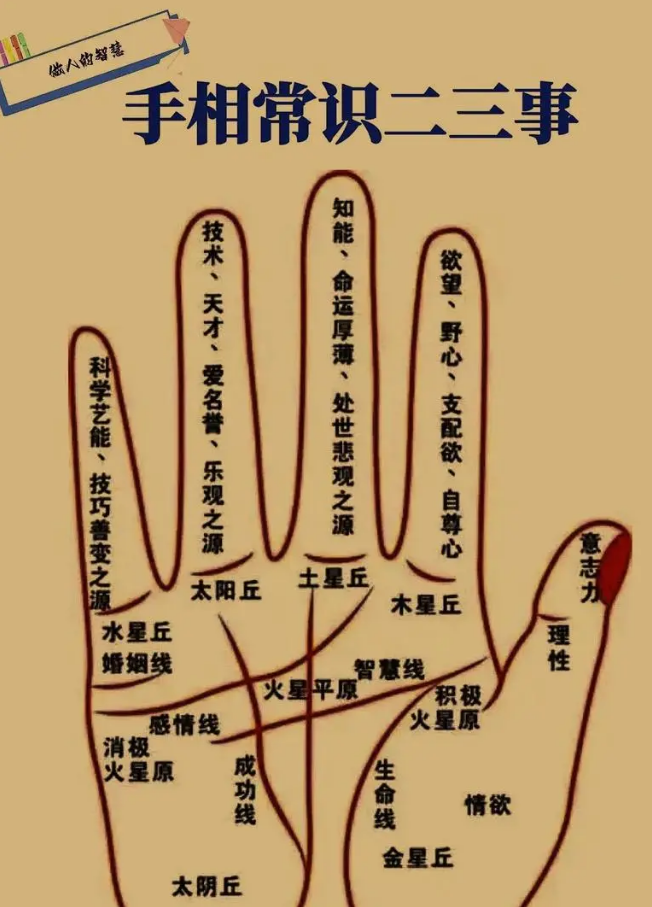 手相学：掌纹乱的手相 - 知乎