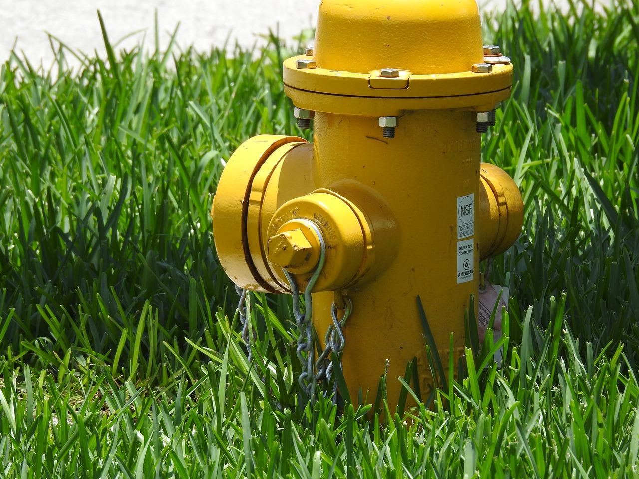 4. 数据记录与分析