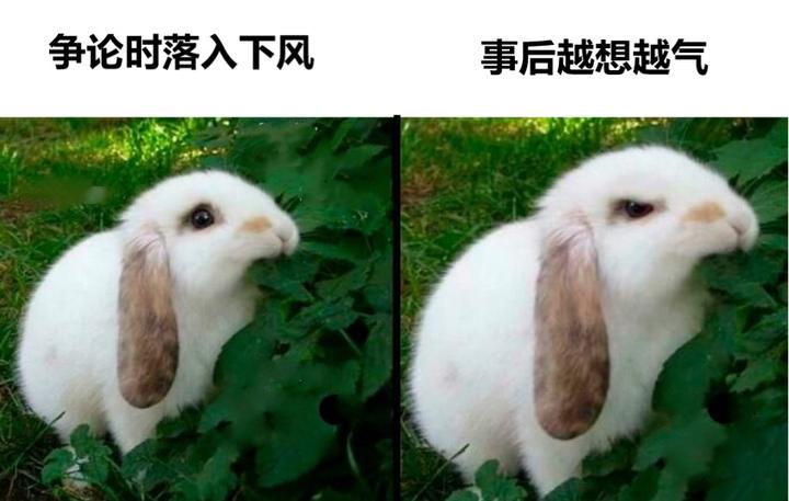 笑了就笑了的meme梗图 - 知乎