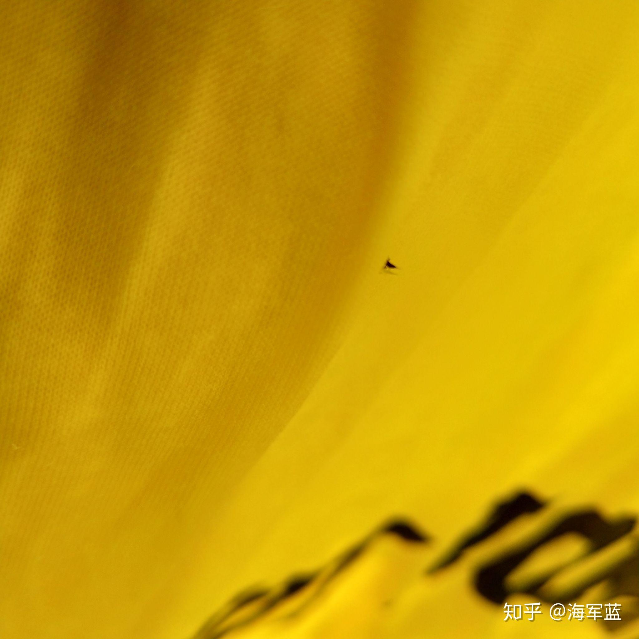 花园的出现了一种黑色会翘尾巴虫,它喜欢黄色衣服,请问怎么消灭(附图)