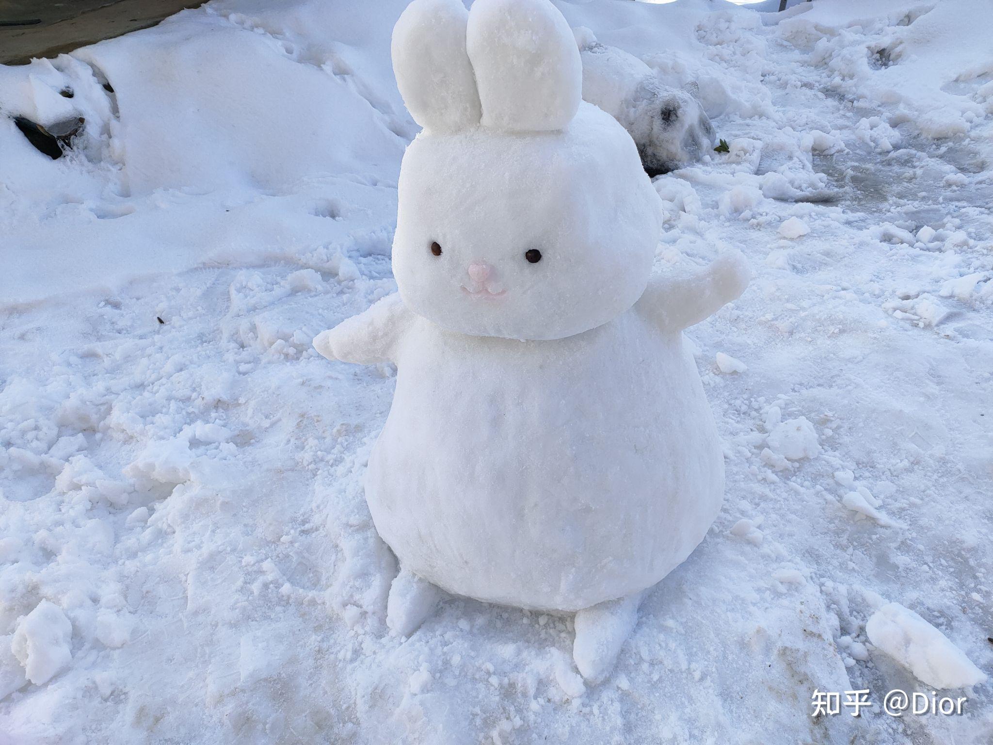 你见过哪些造型奇特的雪人