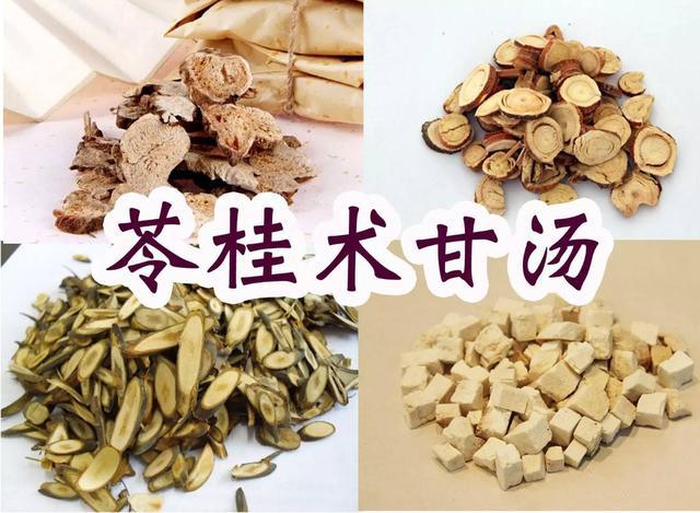 痰饮在百病生,眩晕,呕吐,腹胀,心慌,这个经方专门温阳化饮 - 知乎