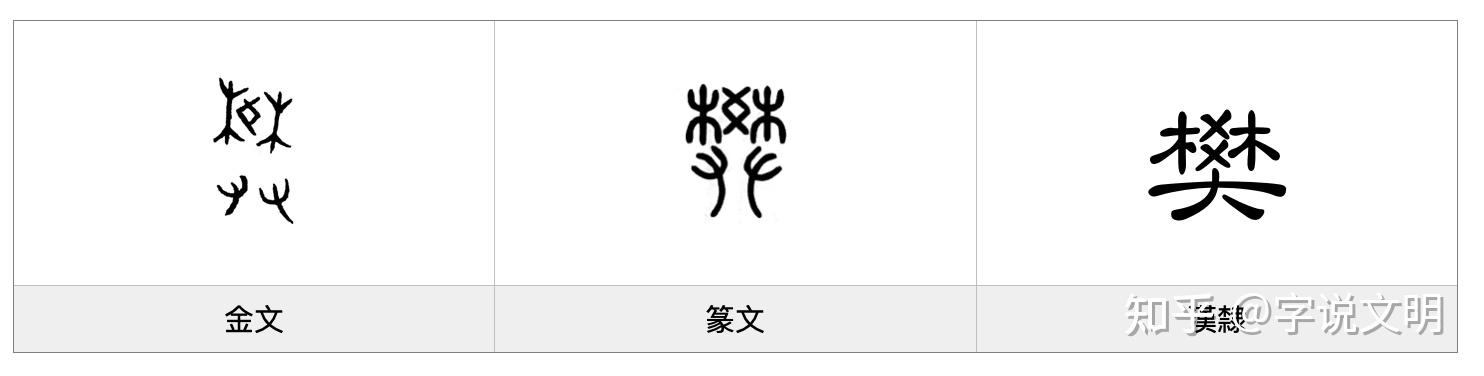 攀——每日一字·廾部字 - 知乎