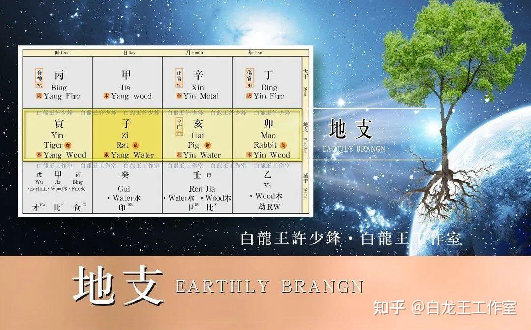 丁火:热情而疏离,性感而刁钻 - 知乎