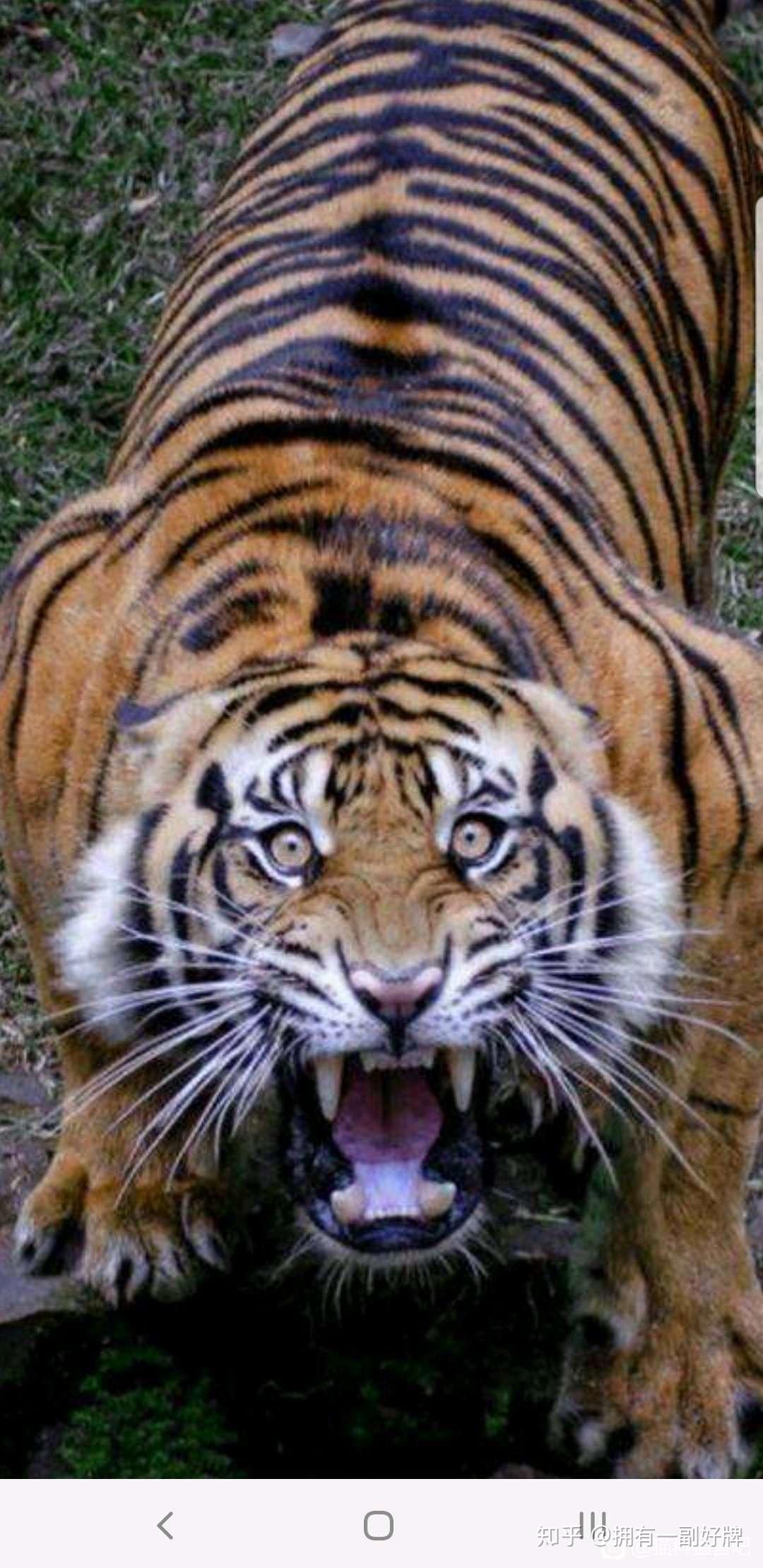 世界上真的有「杀气」这一类的气场吗? - 知乎