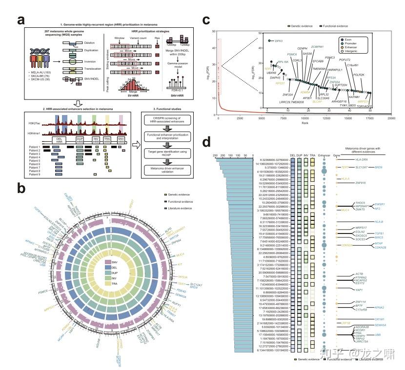 揭开神经精神疾病风险的基因密码 - 知乎
