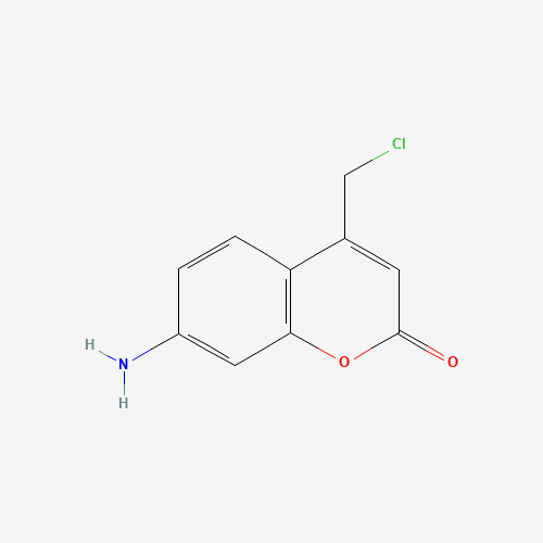 cellhunt-blue-cmac