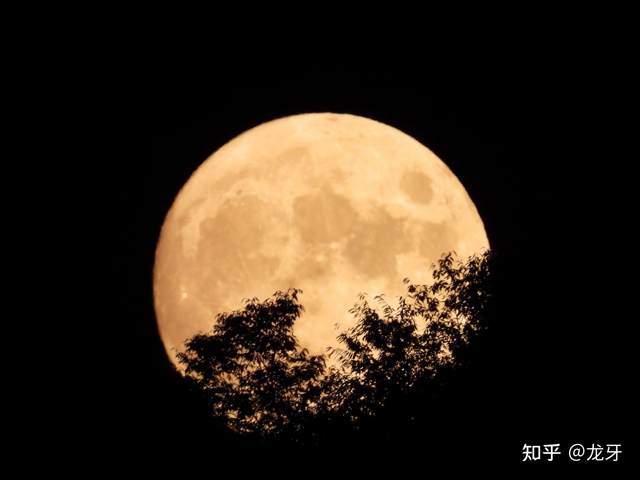 又是一年中秋赏月时,你拍到今晚的圆月了吗? 