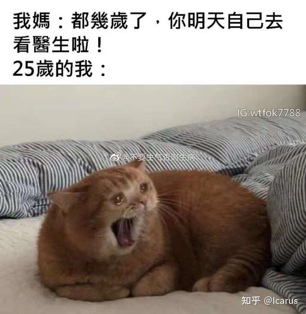 为什么大家都在说intp是猫？ - 知乎