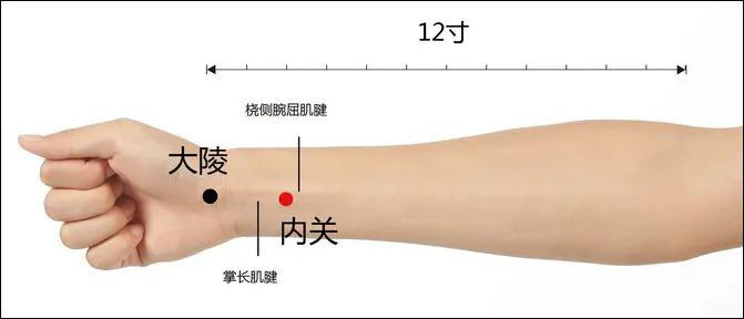 内关穴的作用 - 知乎