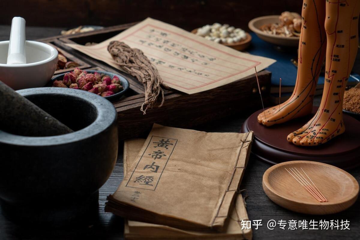 中医与茶疗:茶疗“治未病”在养生保健中的应用价值 - 知乎