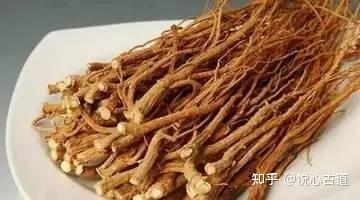 用好小柴胡，不用找大夫 - 知乎
